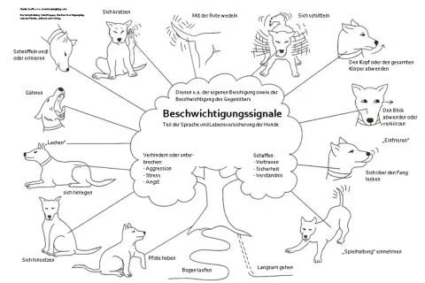 Hunde kommunizieren durch Beschwichtigungssignale wie Gähnen, Schnüffeln oder Sich-Schütteln. Ein cleverer prey hund nutzt diese, um Stress abzubauen.
