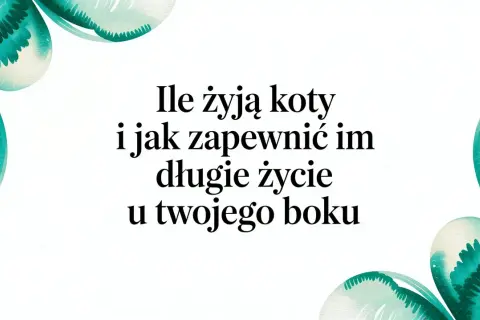 Ile kot ma żyć? Dowiedz się, jak zapewnić mu długie i szczęśliwe życie u Twojego boku.