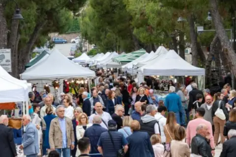 Folla animata al mercato di Porto San Giorgio, bancarelle colorate sotto gli alberi, un'atmosfera vivace tra venditori e visitatori.