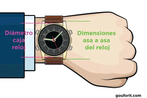 Ilustración muestra cómo se mide la caja de un reloj, indicando el diámetro y las dimensiones de asa a asa.
