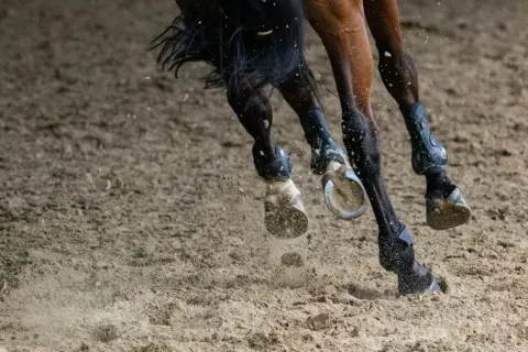 Koń galopuje po piasku, jego kopyta wzbijają kurz. Nogi konia są zabezpieczone ochraniaczami, jakby posmarowane dziegieć maść dla ochrony.