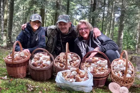 Gdzie na grzyby w Świętokrzyskiem? Twój przewodnik po najlepszych miejscach