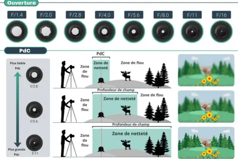 Illustration expliquant la profondeur de champ (PdC) et l'effet de l'ouverture sur la mise au point. Le mode priorité ouverture est essentiel pour contrôler la zone de netteté.