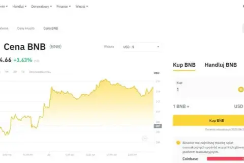 Najpopularniejsze kryptowaluty: które z nich przyniosą zyski?