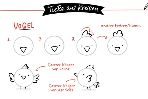 Schritt-für-Schritt-Anleitung zum Zeichnen eines Vogels aus Kreisen.