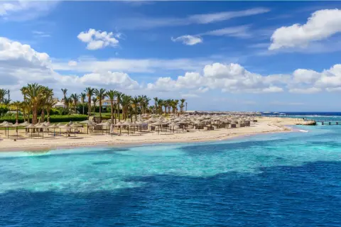 Plaża w Marsa Alam z rzędem parasoli, palmami i turkusową wodą Morza Czerwonego.