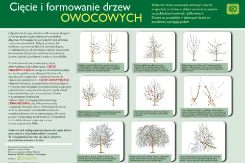 Ilustracje pokazują formowanie drzewek owocowych, różne techniki cięcia i przycinania gałęzi, aby uzyskać pożądany kształt korony.