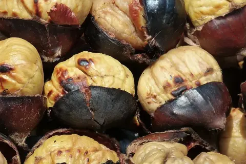 Castañas asadas en microondas, con la piel oscura y la pulpa dorada y tierna, listas para disfrutar.