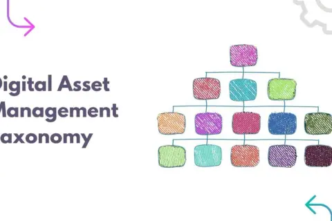 Digital Asset Management Taxonomy visualized as a colorful, hierarchical chart, offering dam taxonomy examples.
