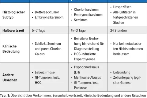 Übersichtliche tumormarker-werte tabelle mit AFP, βHCG und LDH. Zeigt Subtypen, Halbwertszeit, klinische Bedeutung und andere Ursachen.
