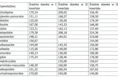 Ile zarabia lekarz rodzinny w Polsce? Zarobki 2026, stawki, koszty