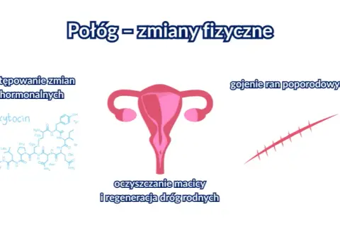 Kiedy oddać krew po porodzie? 6 miesięcy to początek sprawdź!