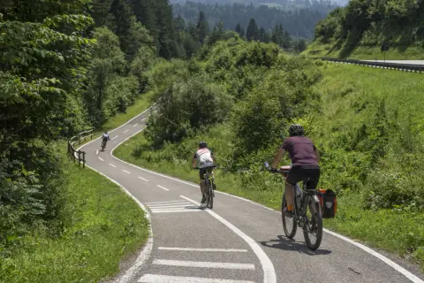Rowerzyści przemierzają malowniczą trasę rowerową Alpe Adria, otoczeni bujną zielenią i górskim krajobrazem.