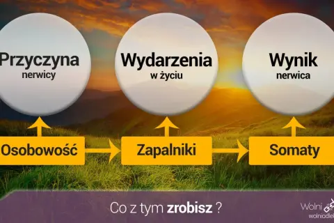 Schemat wyjaśniający powstawanie nerwicy lękowej: osobowość, zapalniki i somaty prowadzą do wydarzeń w życiu, a następnie do wyniku, jakim jest nerwica.