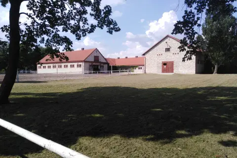 Stadniny koni arabskich w Polsce - historie, osiągnięcia i tradycje