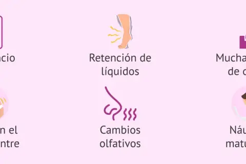 Síntomas comunes de 4 semanas de embarazo: cansancio, retención de líquidos, ganas de orinar, dolor bajo vientre, cambios olfativos y náuseas matutinas.