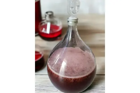 Fermentujący wino z ryżu przepis na 10 litrów w balonie z rurką fermentacyjną. W tle inne butelki z czerwonym płynem.