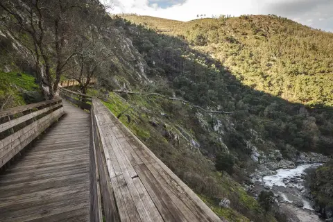Senderos de madera serpentean por la ladera verde junto a un río. Fotos de los pasadizos del Paiva.