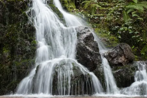 La cascada Txorrotxin desciende entre rocas cubiertas de musgo y vegetación exuberante, creando un paisaje natural sereno.