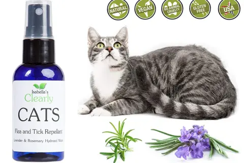 Spray antipulci fai da te per gatti, con ingredienti naturali come lavanda e rosmarino. Sicuro e cruelty-free.