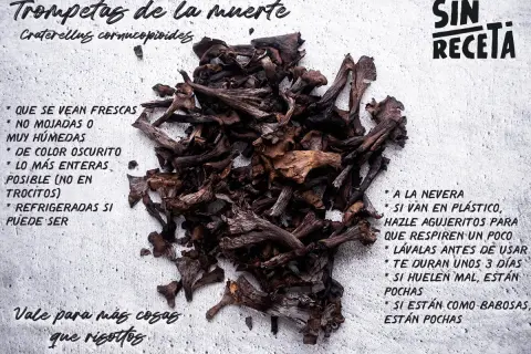 Trompetas de la muerte, también conocidas como Craterellus cornucopioides, listas para ser salteadas. Se ven frescas, oscuras y enteras.