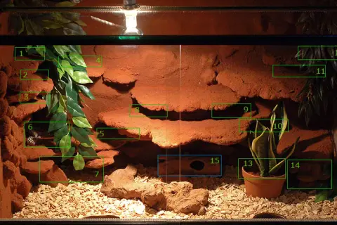 Jak zrobić terrarium dla gekona lamparciego, aby uniknąć błędów i zapewnić zdrowie