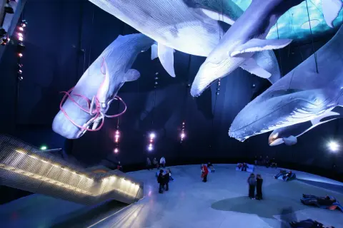 Kołobrzeg atrakcje dla dzieci: oceanarium, które zachwyci maluchy