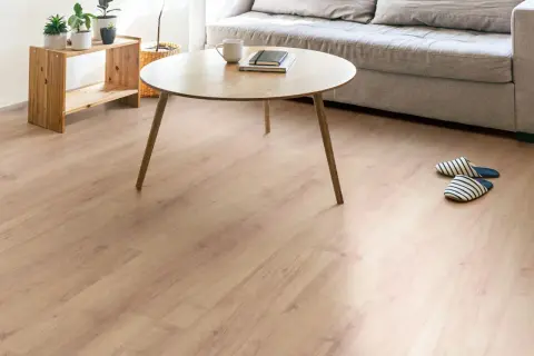 Un salón acogedor con un suelo laminado de madera clara, un sofá gris, mesa de centro de madera y plantas.