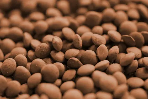 Nahaufnahme von braunen Linsen, bereit zum Kochen. Sie sind kleine, runde und leicht unregelmäßige Hülsenfrüchte, die eine gesunde Mahlzeit versprechen.