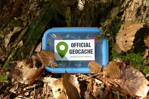 Ein blauer Geocache-Behälter liegt im Wald bei gc Georghausen, bedeckt mit Laub und Moos.