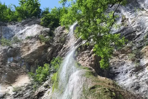 La cascade de Luizet dévale une falaise rocheuse verdoyante, baignée par le soleil. L'eau scintille sur la mousse.