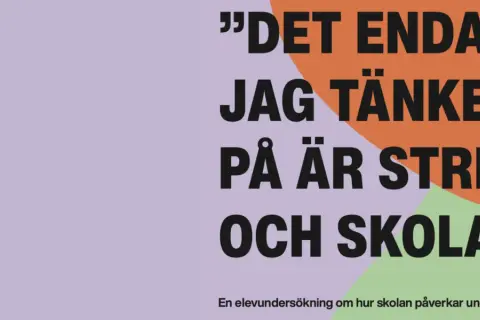 Det enda jag tänker på är stress och skola." En elevundersökning om hur skolan påverkar ungas mående.