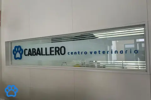 Clínica veterinaria Caballero: servicios, opiniones y ubicaciones detalladas