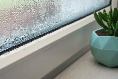 Skroplona szyba okienna, widoczne krople wody spływające po ramie. Problem zbyt szczelnych okien powoduje kondensację. Obok stoi zielona roślina w doniczce.