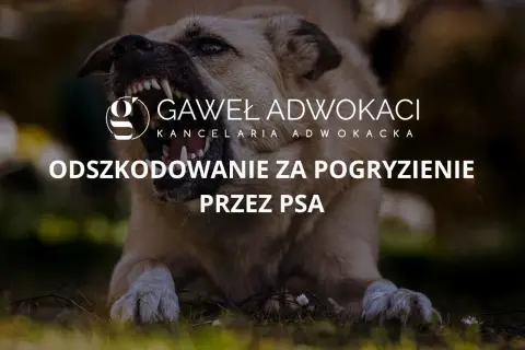Agresywny pies z kłami na wierzchu. Tekst: "Odszkodowanie za pogryzienie przez psa".