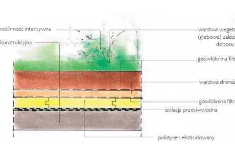 Przekrój warstw ogrodu na dachu: roślinność, gleba, geowłóknina, warstwa drenażowa, izolacja przeciwwodna i polistyren.
