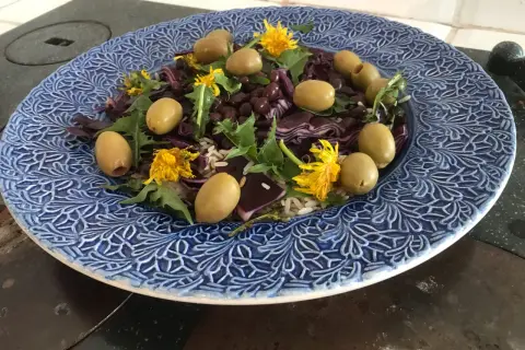 En blåmönstrad tallrik med en sallad av ris, svarta bönor, rödkål, oliver och maskrosblommor. Ett spännande maskros recept!