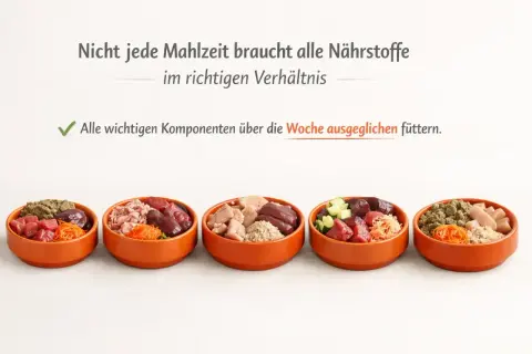 Fünf orange Schalen mit verschiedenen Zutaten für das Barfen von Welpen, darunter Fleisch, Innereien und Gemüse.