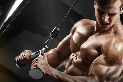 Najlepsze ćwiczenia na triceps na siłowni: zbuduj masę i siłę