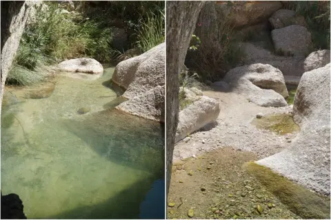 Un sereno **río aguas** cristalinas fluye entre rocas erosionadas y vegetación exuberante, creando un oasis natural.