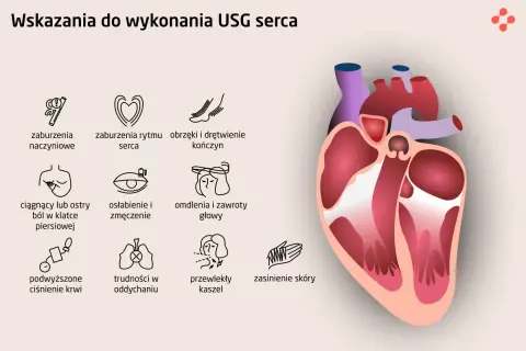 Wskazania do USG serca: zaburzenia rytmu, bóle w klatce, omdlenia, duszności. Echo serca pomaga diagnozować te objawy.