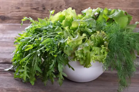 Miska pełna świeżych sałat, rukoli i kopru – naturalne produkty bogate w tlenek azotu dla zdrowia.