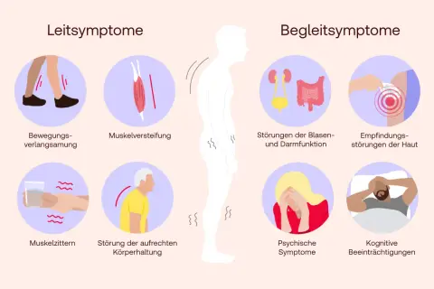 Die Grafik zeigt Symptome der Parkinson-Krankheit: Bewegungsverlangsamung, Muskelsteifheit, Zittern, Haltungsstörungen, Blasen-/Darmprobleme, Hautempfindungsstörungen, psychische und kognitive Beeinträchtigungen.