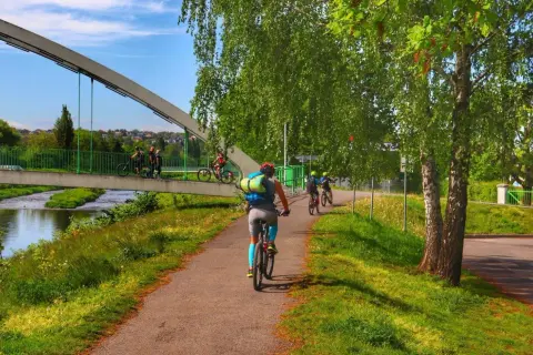 Rowerzyści przemierzają malownicze trasy rowerowe Beskidy, ciesząc się zielenią i słońcem.