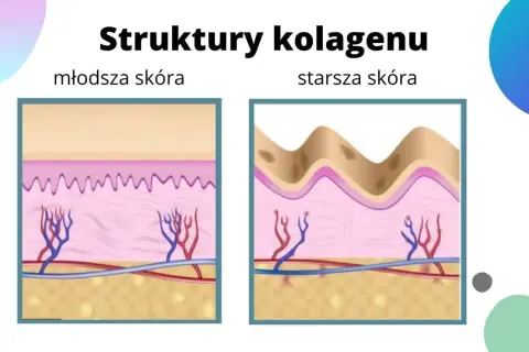 Do czego służy kolagen? Poznaj jego kluczowe funkcje i korzyści