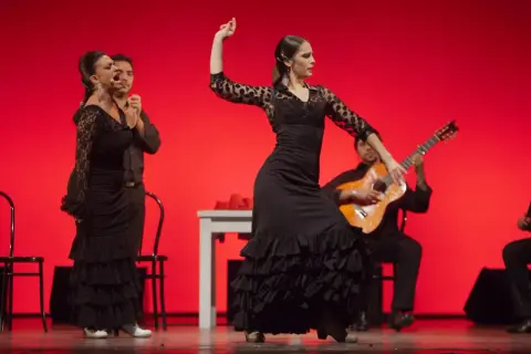 Bailarinas de flamenco con vestidos negros y volantes, un guitarrista y un cantante expresan pasión. El flamenco representa la fuerza y el alma andaluza.