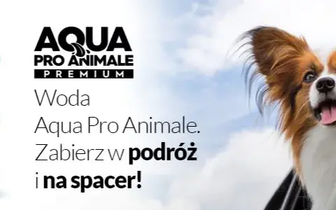 Jaka woda dla szczeniaka? Ekspert radzi: unikaj tych błędów!