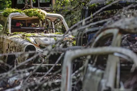 En mossbelupen bilkyrkogård i Sverige. Rostiga vrak omgivna av grönska, en tidlös scen av naturens återtagande.