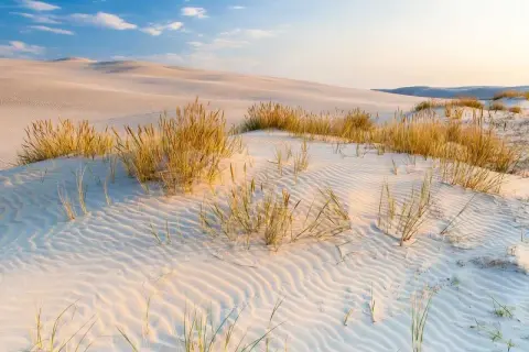 Piasek faluje jak morze, a trawy morskie szumią. Wyobraź sobie, ile km plażą z Łeby na wydmy można przejść w takim krajobrazie.