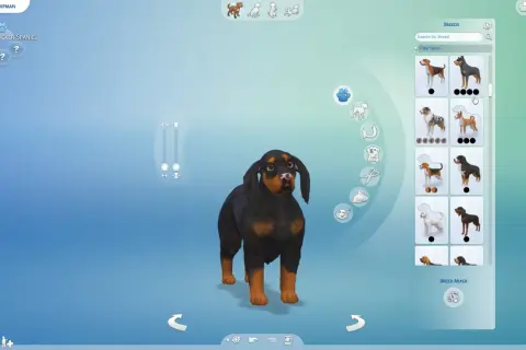 Wybieranie psa rasy rottweiler w The Sims 4. Jak adoptować psa w The Sims 4?
